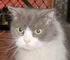 catcjfjY