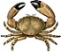 Stone Crab的大頭照